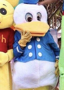 3 Cho Thuê Mascot Vịt Donald