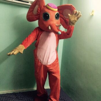 15 Cho Thuê Mascot Con Voi