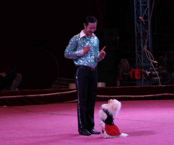 xiec-cho-cho-tre-em-hay---an-tuong-chi-co-tai-su-kien-viet-_s1621